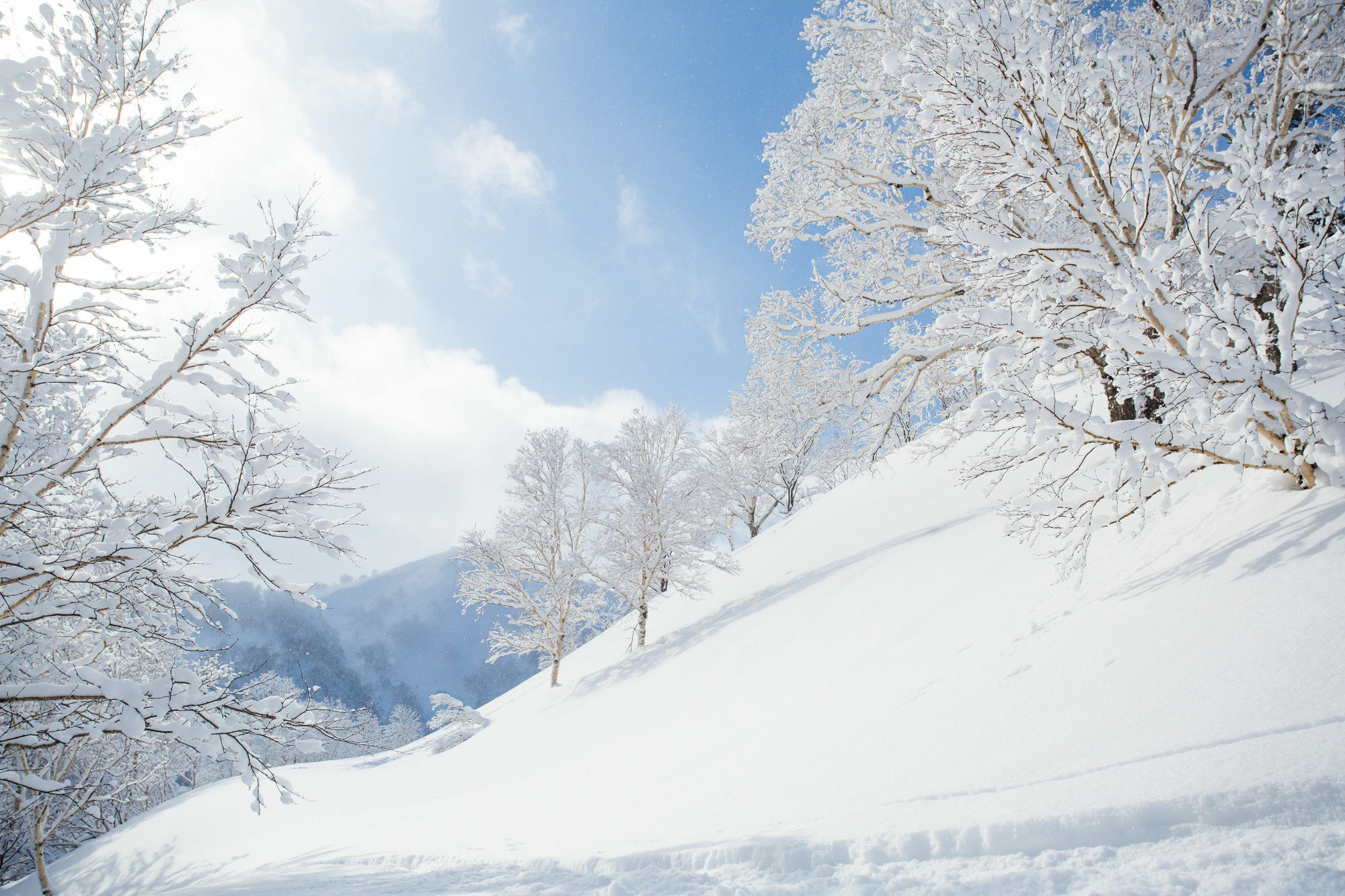Pension Alice Niseko Luaran gambar